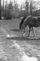 image011EE.jpg