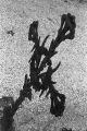image012~1.jpg