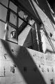 image013Canari2.jpg