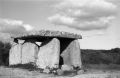 image013~0.jpg