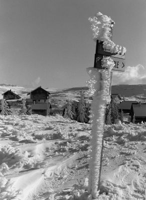 Première neige sur le Vercors, novembre 2009
La station de Font d'Urle, il a neigé avec du vent! Canon AL1 35mm f2,8
