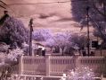 IR_effect.jpg