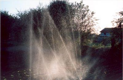arrosage maraîcher
