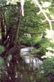 ruisseau.jpg
