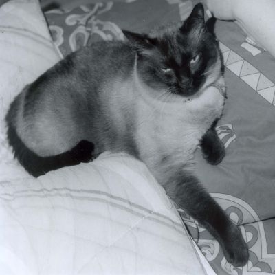 Aiko2.jpg