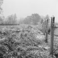 ilneige3.jpg