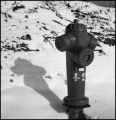 neige2.jpg