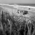 capbreton_avril_2008254_copie.jpg