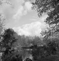 img002.jpg