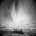 juin__2008281_copie.jpg