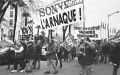 novembre_2008_482_copie.jpg
