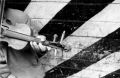 perou-trabajo-image-80.jpg