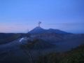 IMG_1245.jpg