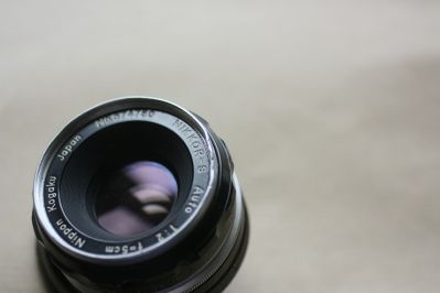 50nonAI_bosse_003.JPG