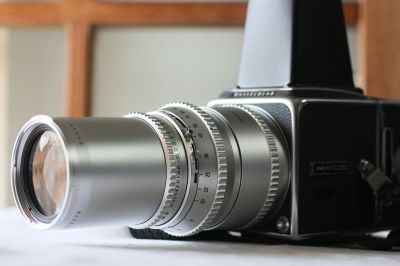 Blad250_003.JPG