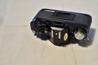 PJB_0445.JPG