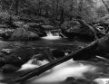 optar_landscape2.jpg