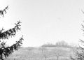 ATP-V1_roll2-016_crop.jpg