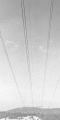ATP-V1_roll3-013_crop.jpg