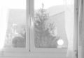 ATP-V1_roll3-014_crop.jpg