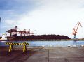 pelacus-portra-001.jpg