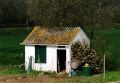 cabane_au_jardin-2.jpg