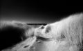 dune3IR820c.jpg