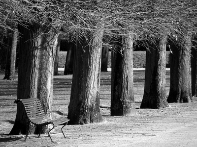 le banc
