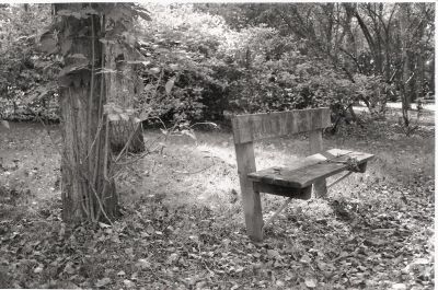 Banc Tirage initial 10*15
Nikon F50 - HP 5  -  Ilford Multigrade IV RC 10*15 - Chimie Ilford -  Grade 1
