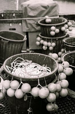 kodakbw 400 cn
1/125 diaph 4 
