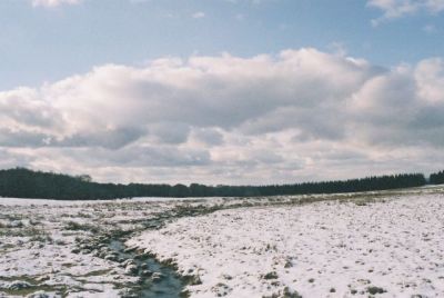 Petit manteau neigeux sur le plateau de l'Aubrac - F90 35-70 Fuji 800ISO
Mots-clés: aubrac neige