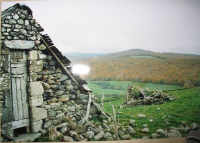 Vieilles pierres
Un vieux buron sur le plateau
