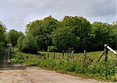 Chemin vers ailleurs
Un chemin sur une crête du Jura
Nikon F90 + 35-70 + Fuji Supéria 800
Amélioration de la netteté + ajustement des niveaux du ciel sous Gimp
