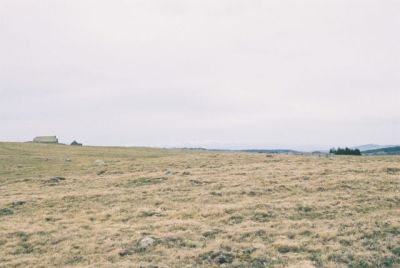 L'immense solitude hivernale du plateau de l'Aubrac - F90 35-70 Fuji 800ISO
Mots-clés: aubrac