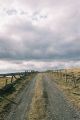 chemin_aubrac.jpg