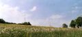 gabelous-haut-pano2.jpg