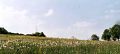 Nom du fichier=gabelous-haut-pano~0.jpg
Taille du fichier=57Ko
Dimensions : 800x365
Ajouté le : 28 Mai 2007 gabelous-haut-pano~0.jpg
