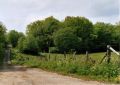 jura-chemin.jpg