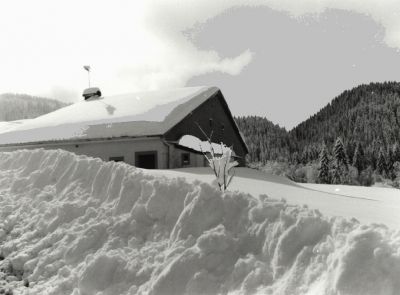 ferme sous la neige
hiver 06, une ferme errière les tas de neige de chaque coté de la route
Mots-clés: neige