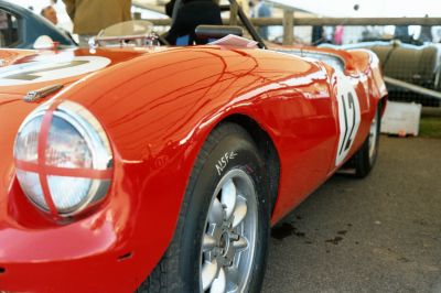 Elva Courier at Goodwood Revival
Taken with Olympus 35RD.
Mots-clés: Olympus 35RD