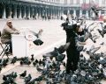 Pidgeons_-_St_Mark_s_Square.JPG