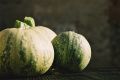courgettes06ub0~0.jpg