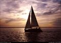 Sunrise_on_the_Seudre_3.jpg