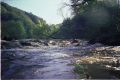 20091012-Agout_10_2008_24.jpg
