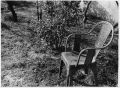 Chaise_atp_lowres.png