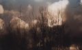 paysage_003.jpg