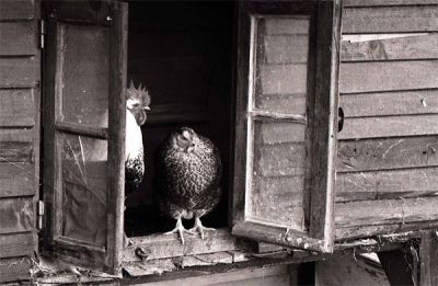 ça roule, ma poule?
jupiter 3/bessa/triX800

