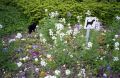 0606-I-chez-vez015.jpg