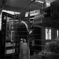 0706-V-l-arbeit-macht-frei.jpg