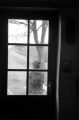 2007-01-vii-nov-porte.jpg